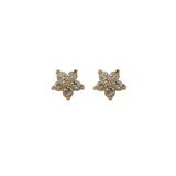 14K Gold Star Zircon Earring